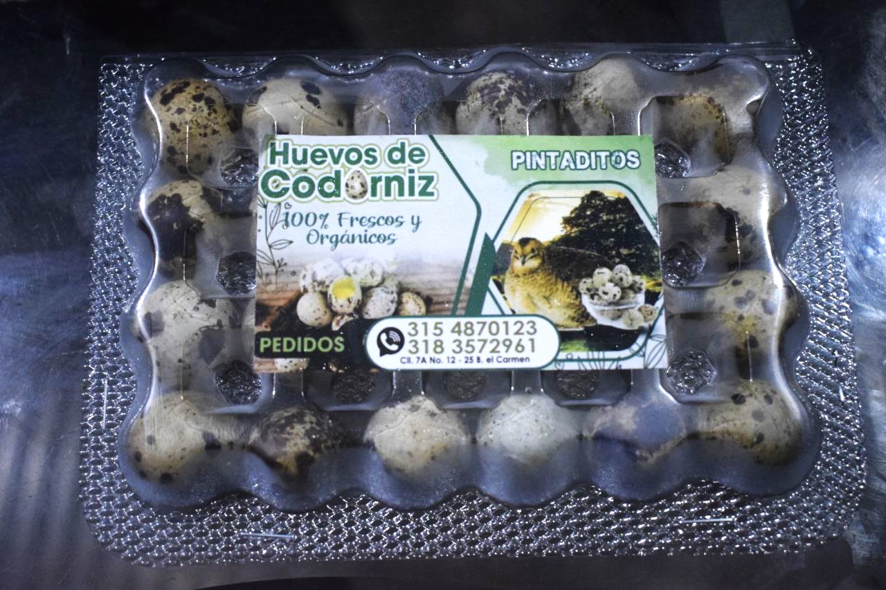 Huevos de codorniz